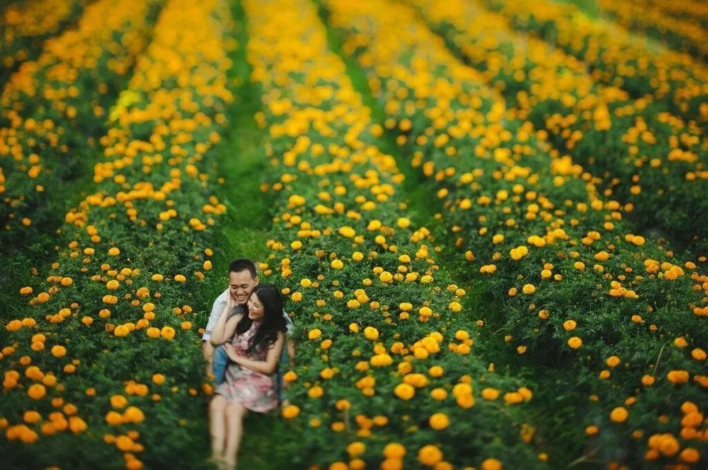 5 Taman Bunga di Indonesia Ini Sempurna untuk Latar Foto Pre-Wedding. Nggak Usah Jauh ke Luar Negeri