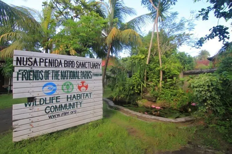 Nusa Penida, Sang Primadona Wisata Baru di Bali. Liburan Akhir Tahun Mesti ke Sini! 9