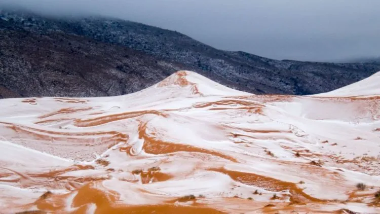 Tiba-tiba Salju Turun di Gurun Sahara, Fenomena Aneh Ini Mengundang Sejuta Pertanyaan 6