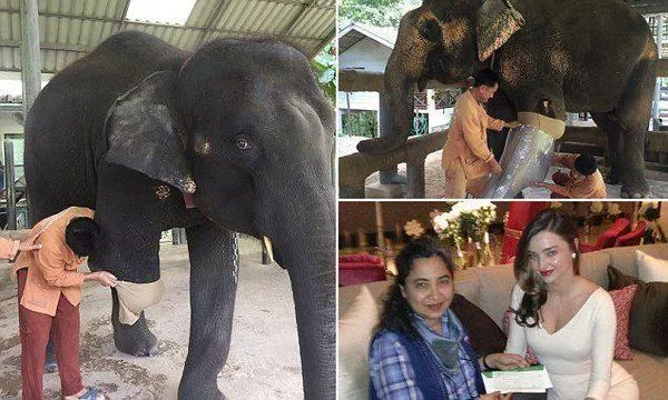 15 Selebriti yang Gunakan Pengaruhnya Untuk Berbuat Kebaikan. Mereka Ini Nih yang Patut Diteladani 26