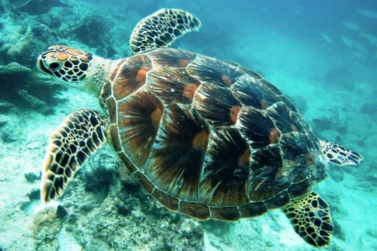 Ternyata Gambar Destinasi Wisata di Uang Baru Keren-keren Lho. Jadi Pengen Datengin Satu-satu! 26