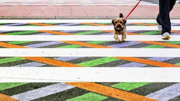 Unik Banget! Zebra Cross di Kota Ini Berwarna-warni. Pasti Bakal Seneng Deh Nyebrang di Sini! 18