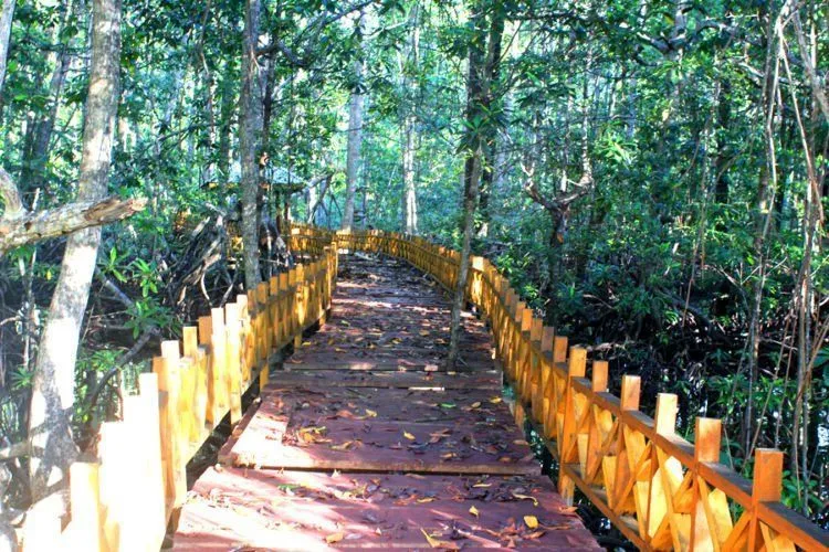 Taman Nasional Kepulauan Togean Ini Pasti Bikin Kamu Nggak Mau Pulang. Pengen Liburan Terus-terusan! 11