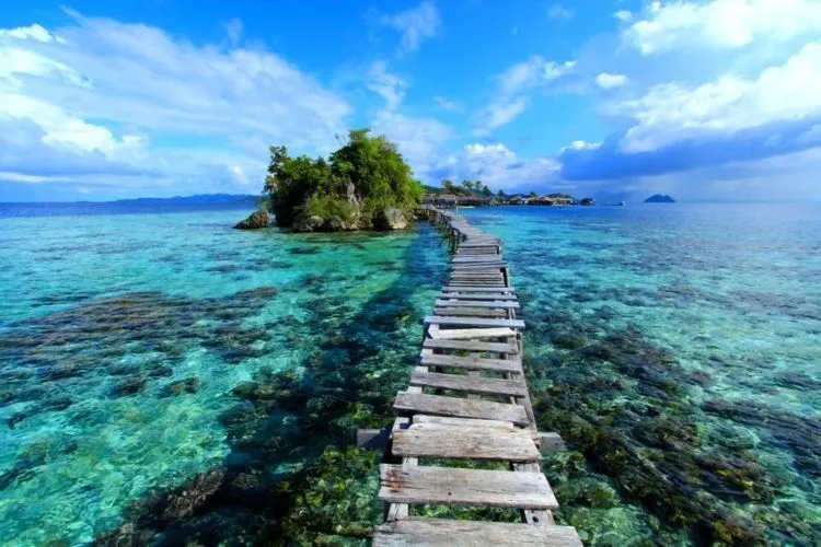 Taman Nasional Kepulauan Togean Ini Pasti Bikin Kamu Nggak Mau Pulang. Pengen Liburan Terus-terusan! 8