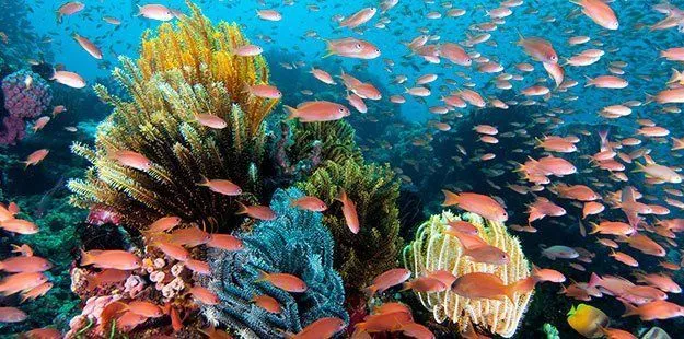 10 Destinasi Ini Wajib Kamu Kunjungi Sebelum Usia 25 Tahun. Mumpung Masih Muda, Gaes! 20