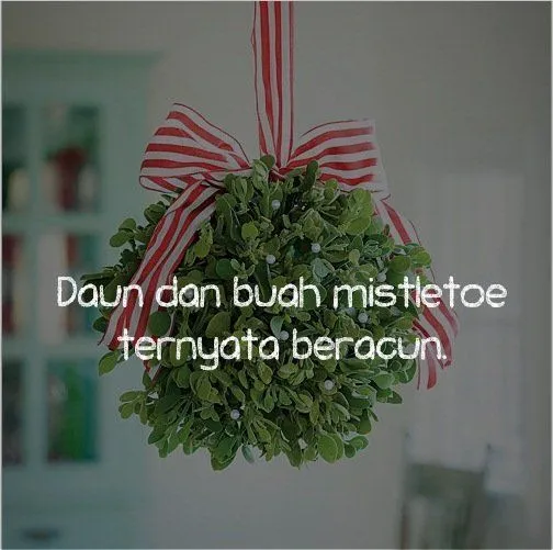 Biar Hari Spesial Ini Tambah Seru, Ini 11 Fakta Unik Tentang Natal yang Jarang Orang Tahu 19