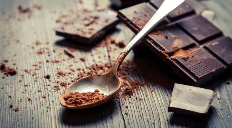8 Bakteri Baik dalam Makanan yang Bisa Memelihara Kesehatan Tubuhmu, Sudah Tahu Belum? 12