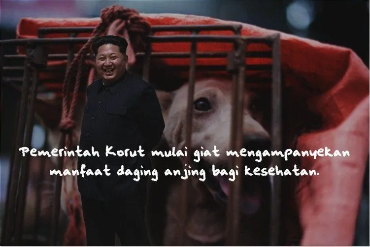 Biar Bisa Lebih Bersyukur, Lihat 10 Penderitaan Yang Harus Diterima Rakyat Korea Utara Tiap Harinya 17