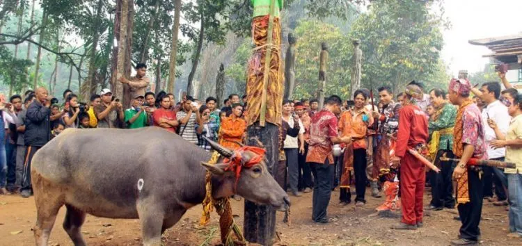 Kamu Pengen Masuk Surga? Suku Dayak Punya Upacara Mengantarkan Arwah ke Surga, Tertarik? 8
