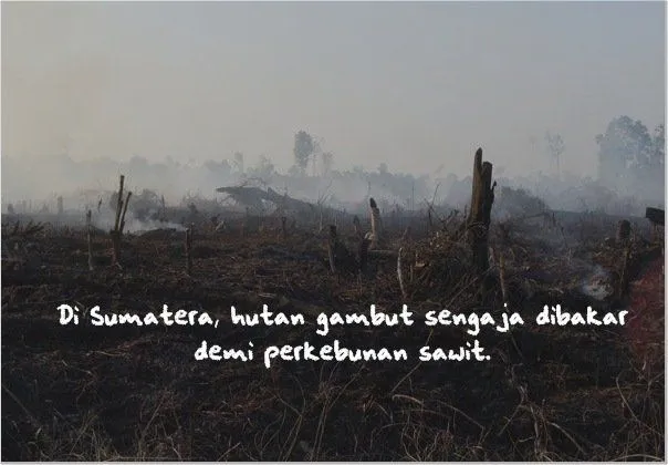 Cuaca Sudah Gila Begini, 6 Orang Berkuasa Ini Masih Aja Pikir Global Warming Itu Hoax 22