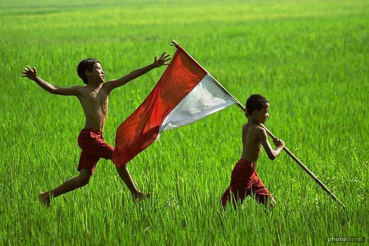 Indonesia Adalah Negara Agraris yang Terancam. Profesi Petani Diperkirakan Akan Punah 50 Tahun Lagi 10