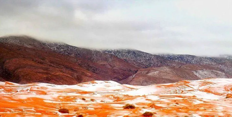 Tiba-tiba Salju Turun di Gurun Sahara, Fenomena Aneh Ini Mengundang Sejuta Pertanyaan 5
