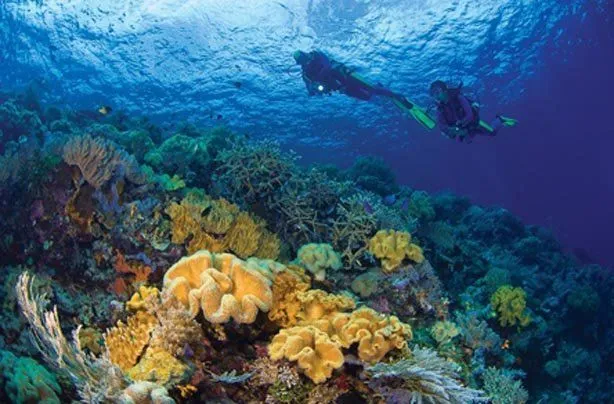 Ternyata Gambar Destinasi Wisata di Uang Baru Keren-keren Lho. Jadi Pengen Datengin Satu-satu! 24