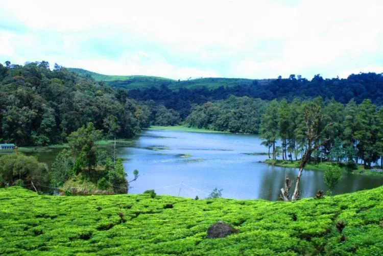 Wisata Cinta di Situ Patenggang Bandung, Yuk! Katanya Hubunganmu dan Dia Bisa Awet Kalau ke Sana 5