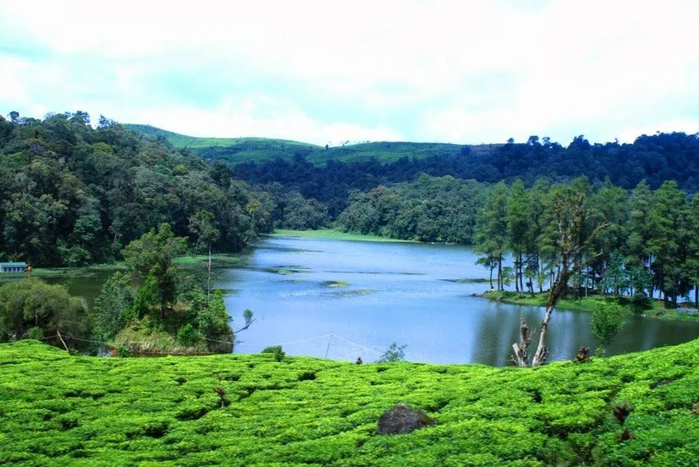 Wisata Cinta di Situ Patenggang Bandung, Yuk! Katanya Hubunganmu dan Dia Bisa Awet Kalau ke Sana