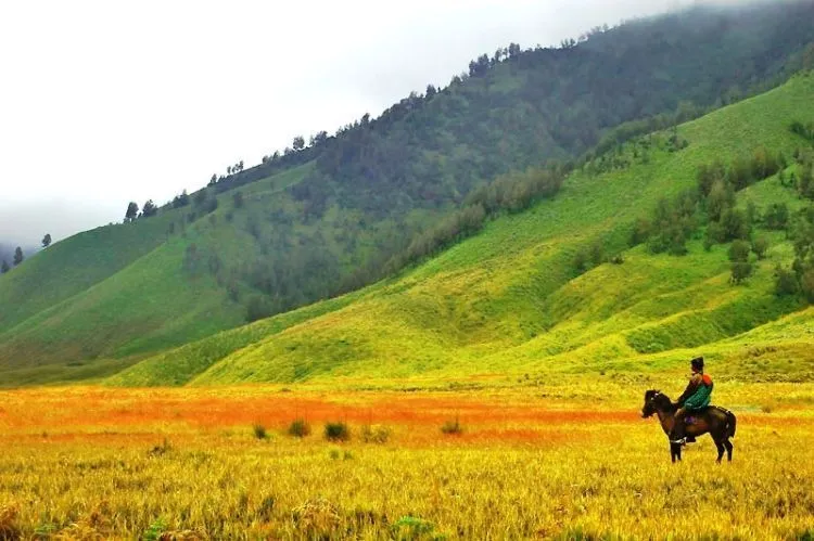 Ada Sekelumit Misteri di Balik Keindahan Gunung Bromo. Kamu Harus Hati-hati Saat Liburan ke Sana! 5