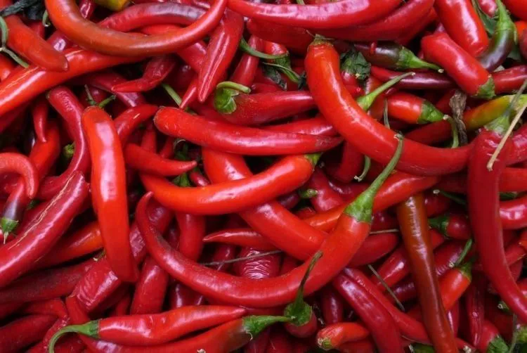 Kabar Baik Buat Pecinta Pedas! Kata Peneliti, Cabai Itu Ternyata Resep Rahasia Untuk Panjang Umur 7