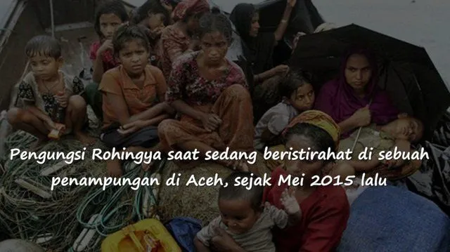 Krisis Kemanusiaan di Negara Tetangga, Ini 10 Kisah Memilukan dari Minoritas Muslim Myanmar 14