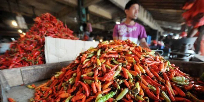 Kabar Baik Buat Pecinta Pedas! Kata Peneliti, Cabai Itu Ternyata Resep Rahasia Untuk Panjang Umur 10