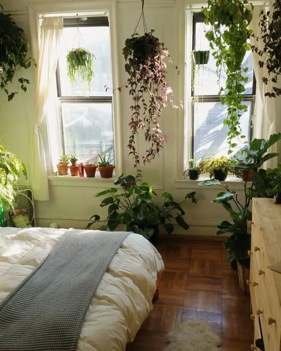 12 Inspirasi Indoor Plant yang Praktis untuk Rumah Sempit. Hijaunya Itu Lho, Bikin Mata Segar! 22