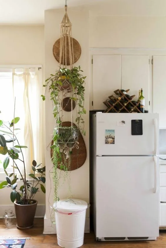 12 Inspirasi Indoor Plant yang Praktis untuk Rumah Sempit. Hijaunya Itu Lho, Bikin Mata Segar! 14