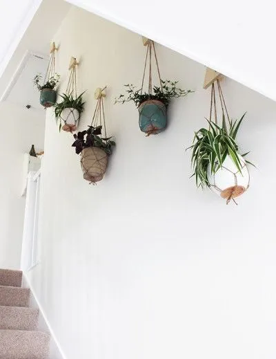 12 Inspirasi Indoor Plant yang Praktis untuk Rumah Sempit. Hijaunya Itu Lho, Bikin Mata Segar! 16