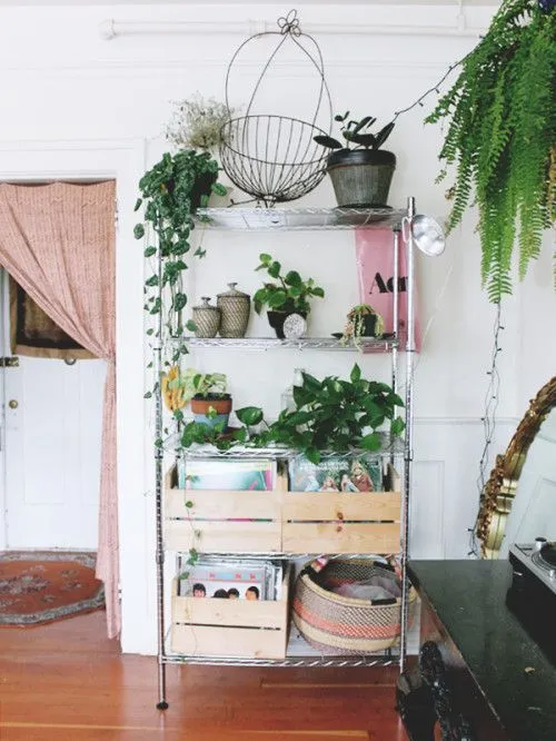 12 Inspirasi Indoor Plant yang Praktis untuk Rumah Sempit. Hijaunya Itu Lho, Bikin Mata Segar! 20