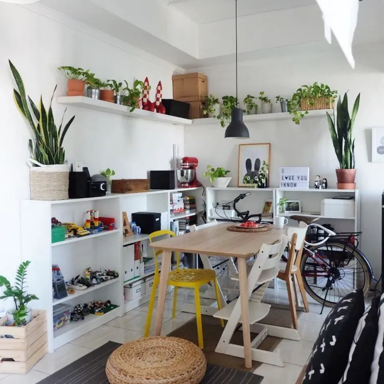 12 Inspirasi Indoor Plant yang Praktis untuk Rumah Sempit. Hijaunya Itu Lho, Bikin Mata Segar! 21