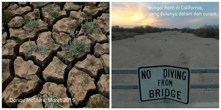 10 Foto Ini Akan Membuatmu Paham Apa Climate Change Itu Sebenarnya. Yuk Sayangi Bumi Tercinta! 19