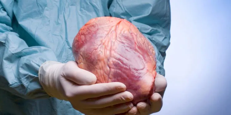 5 Fakta Tentang Mendonorkan Seluruh Organ Tubuh Setelah Mati, di Indonesia Masih Kurang Populer Sih 9