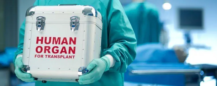 5 Fakta Tentang Mendonorkan Seluruh Organ Tubuh Setelah Mati, di Indonesia Masih Kurang Populer Sih 10