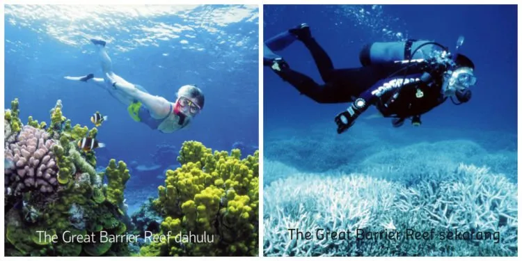10 Foto Ini Akan Membuatmu Paham Apa Climate Change Itu Sebenarnya. Yuk Sayangi Bumi Tercinta! 18