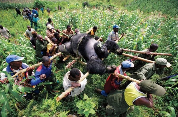 10 Foto Paling Mengharukan Sepanjang Masa. Sedih Kalau Tahu Kisah Tragis di Baliknya 17