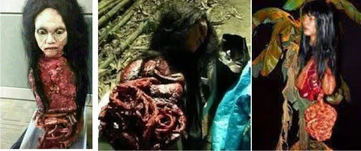 Ini 5 Alasan Film Horor Indonesia Seharusnya Bisa Merajai Dunia 6
