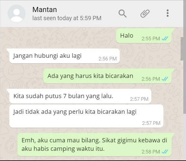 Jangan Berani Chat Mantan Kecuali Kamu Siap dengan Risiko Percakapan Kocak Tapi Menyedihkan Berikut! 15