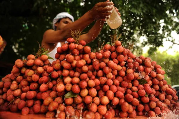 Selama 10 Tahun Lamanya, Ratusan Anak India Mati Secara Misterius. Ternyata Buah Ini Biang Keroknya 5
