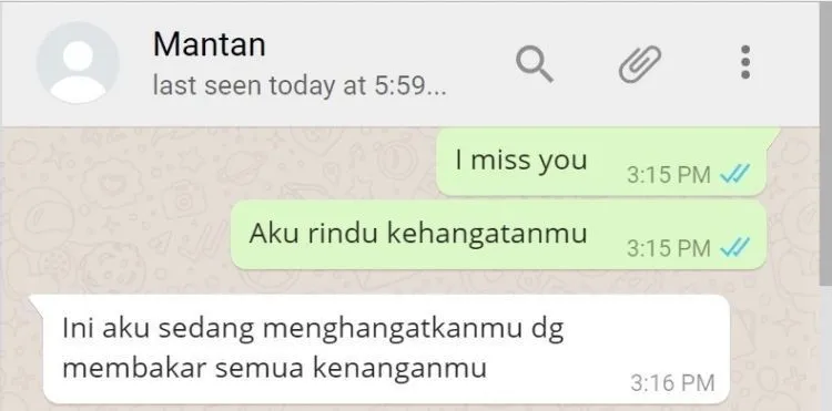 Jangan Berani Chat Mantan Kecuali Kamu Siap dengan Risiko Percakapan Kocak Tapi Menyedihkan Berikut! 17