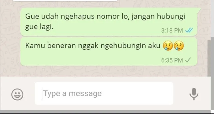 Jangan Berani Chat Mantan Kecuali Kamu Siap dengan Risiko Percakapan Kocak Tapi Menyedihkan Berikut! 16