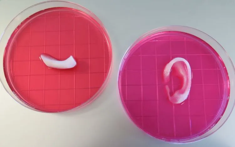 Wow! Bukan Cuma Film yang Beralih ke 3D, 14 Benda Hasil Printer 3D Ini Sudah Benar-Benar Ada Lho 24