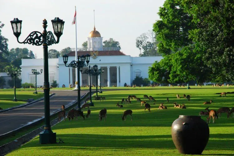 Sebelum Pindah Ibukota & Buat Istana Baru, Lihat Yuk 6 Istana Kepresidenan Indonesia! Ada 6 Lho 10