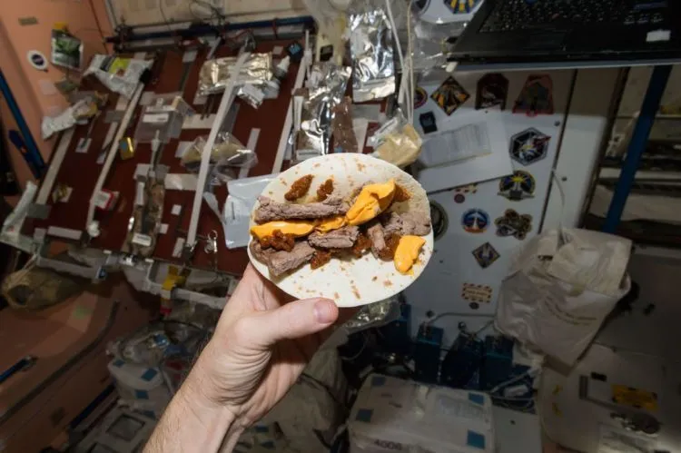 Mau Ngintip Keseharian Astronot di Luar Angkasa? Lihat Deh 10 Foto Diari Mereka yang Seru Ini 14