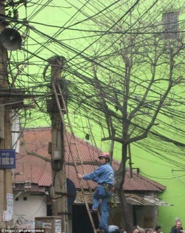 Mungkin Inilah 10 Pekerjaan yang Paling Buruk di Dunia. Tapi Nggak Masalah, yang Penting Rejeki Halal! 15
