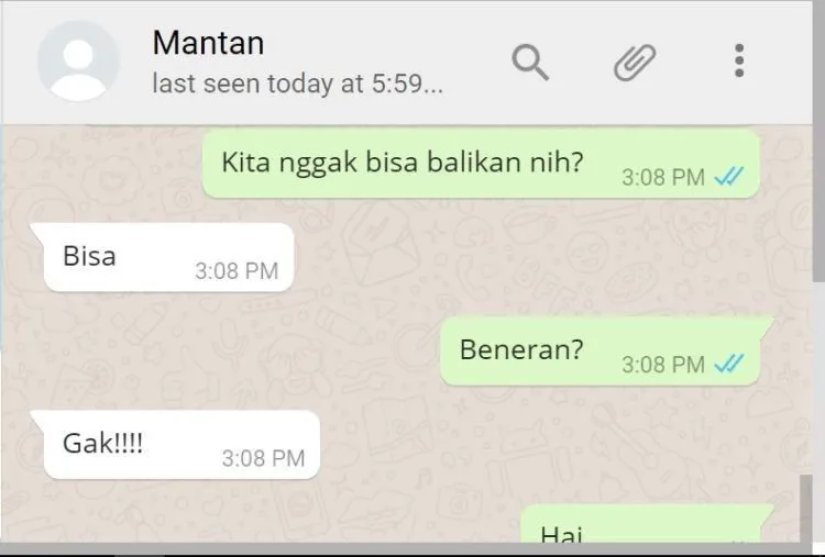 Jangan Berani Chat Mantan Kecuali Kamu Siap dengan Risiko Percakapan Kocak Tapi Menyedihkan Berikut! 22