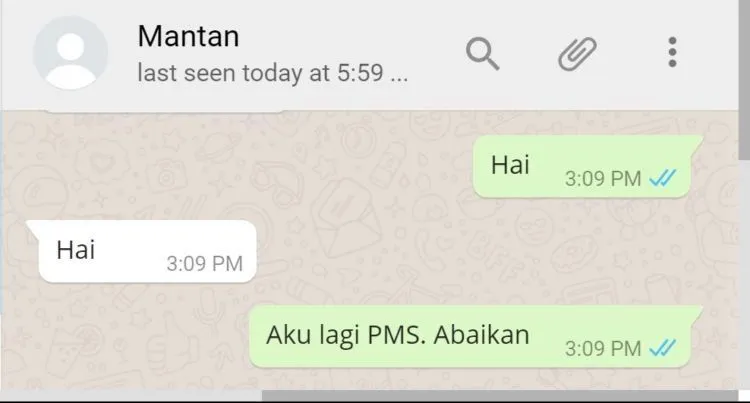 Jangan Berani Chat Mantan Kecuali Kamu Siap dengan Risiko Percakapan Kocak Tapi Menyedihkan Berikut! 21