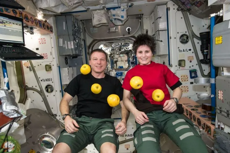 Mau Ngintip Keseharian Astronot di Luar Angkasa? Lihat Deh 10 Foto Diari Mereka yang Seru Ini 12