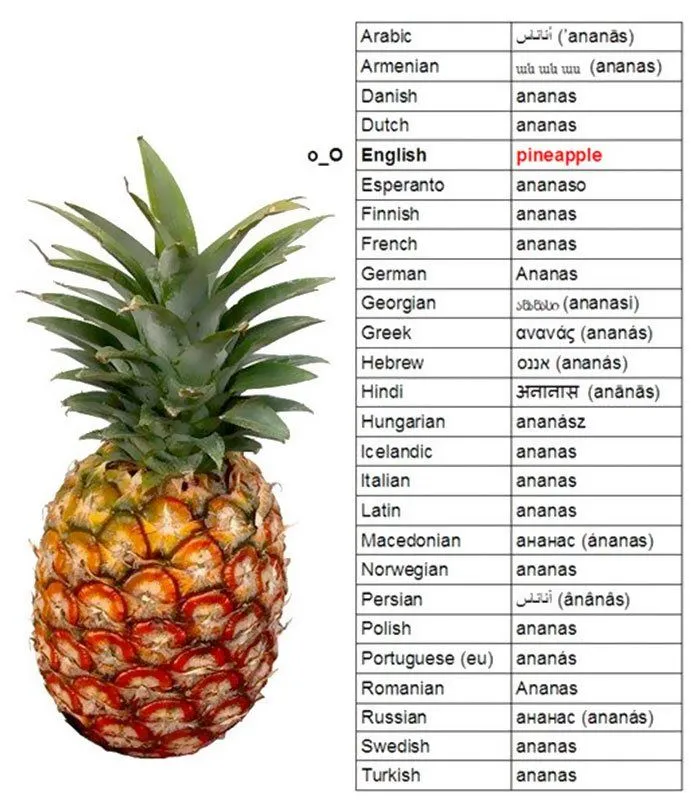 Ternyata Ini Alasan Sulitnya Belajar Bahasa Inggris! Bahasanya Memang Rese, Banyak ‘Cacat’-nya 20