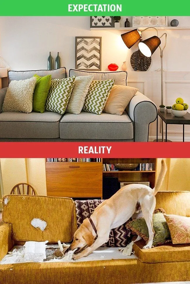 Ekspektasi vs Realita, 10 Gambar Ini Menjelaskan Tentang Kehidupan Rumah Tangga yang Sebenarnya 11