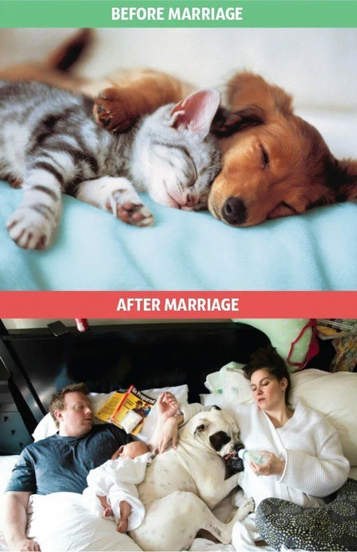 9 Meme Lucu Perbedaan Sebelum dan Setelah Nikah. Kocak dan Menggemaskan Sampai Kepingkal-pingkal 17