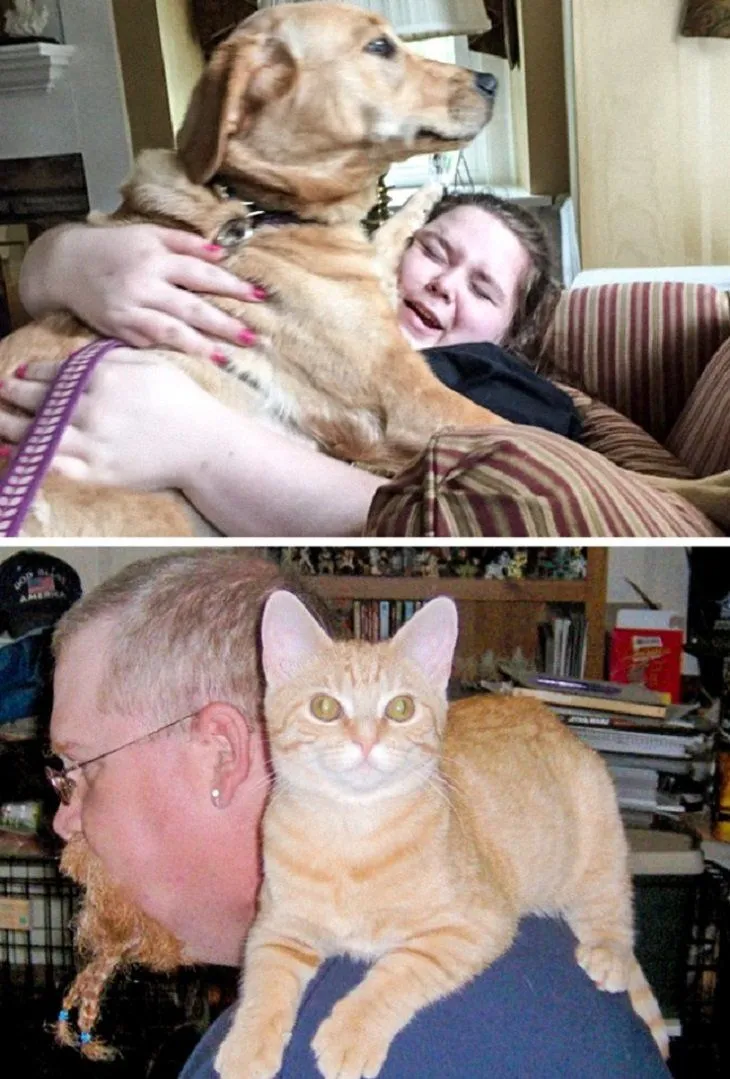 Kucing Vs Anjing: 13 Foto Perbedaan Keduanya Ini Bisa Juga Nunjukin Seleramu Cowok Cute atau Bad Boy 18