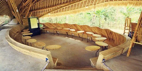 7 Sekolah Paling Menyenangkan di Dunia, Mana Rela Bolos Kalau Begini 15